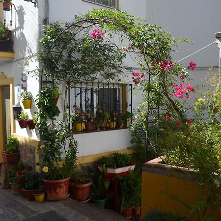 Finca El Molino De Aceite Jubrique Exteriér fotografie