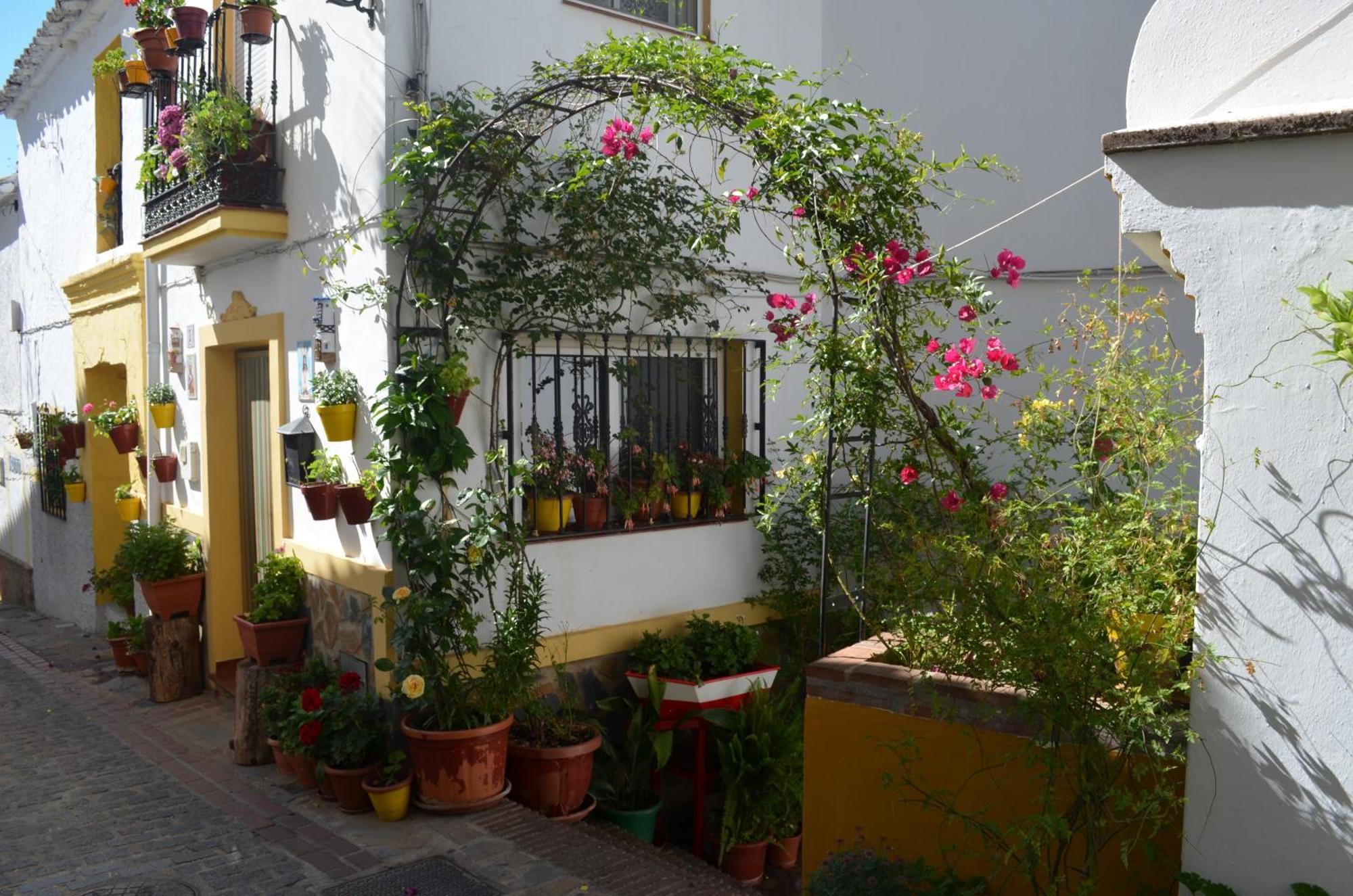 Finca El Molino De Aceite Jubrique Exteriér fotografie
