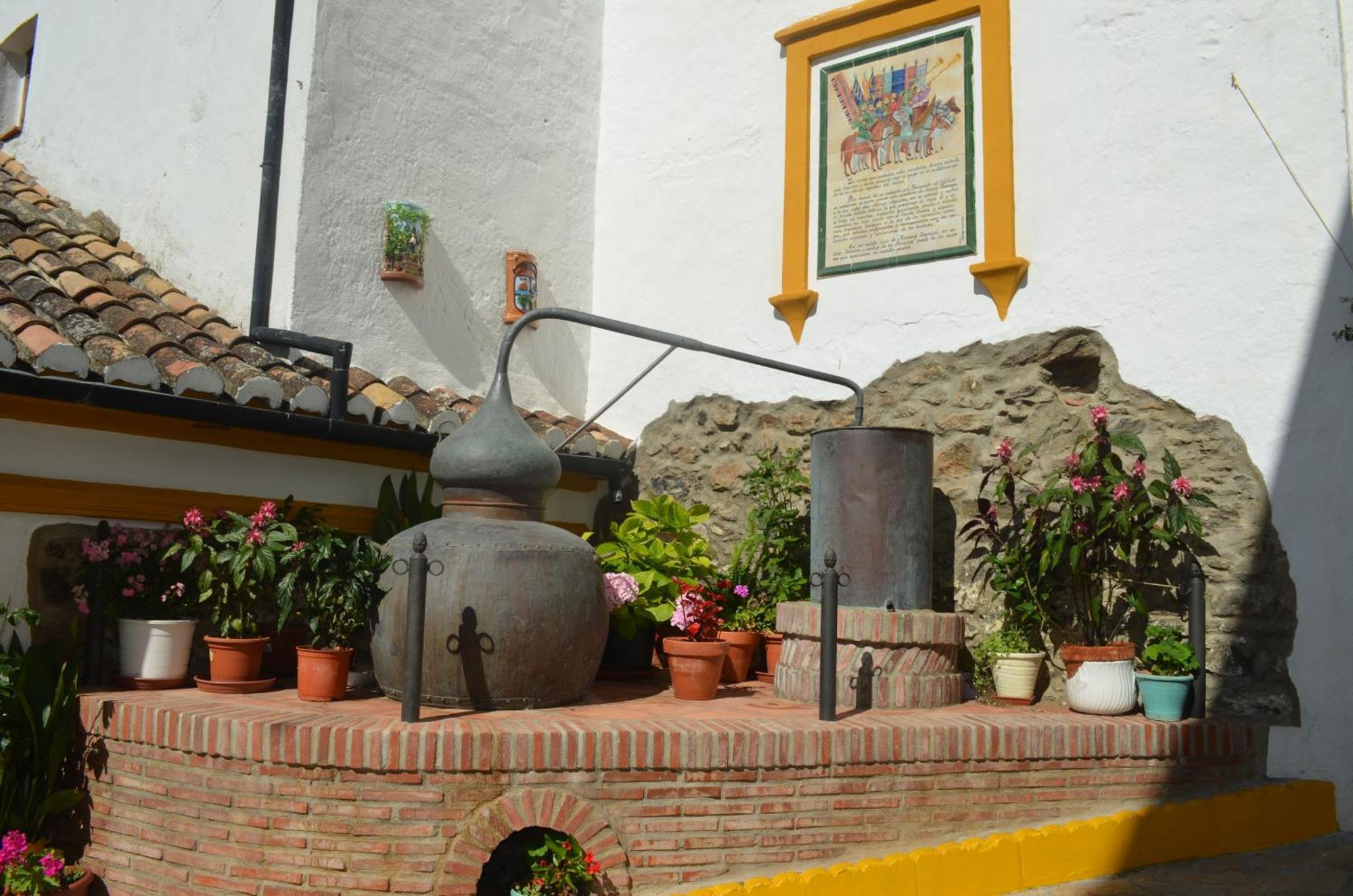 Finca El Molino De Aceite Jubrique Exteriér fotografie
