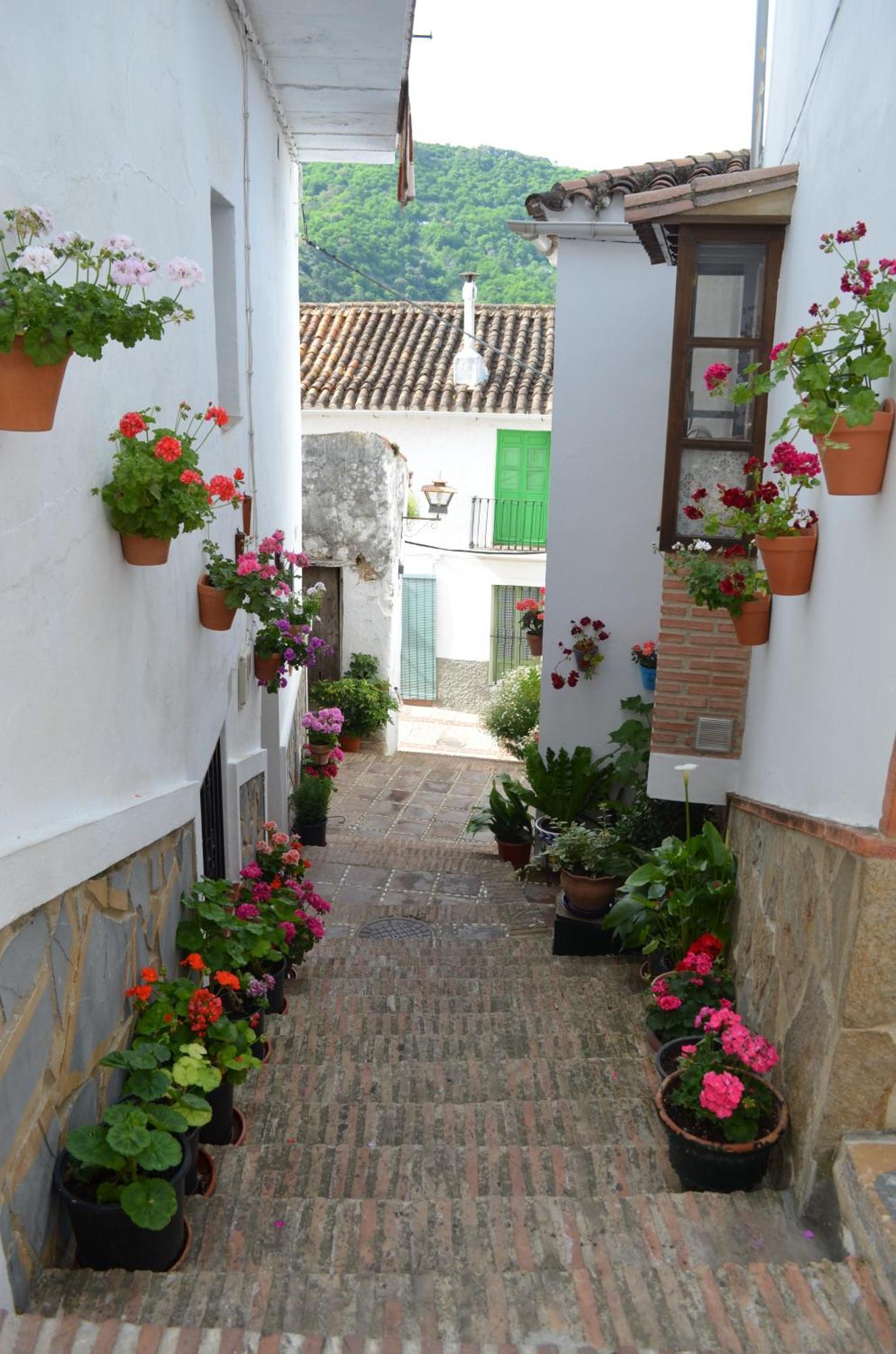 Finca El Molino De Aceite Jubrique Exteriér fotografie