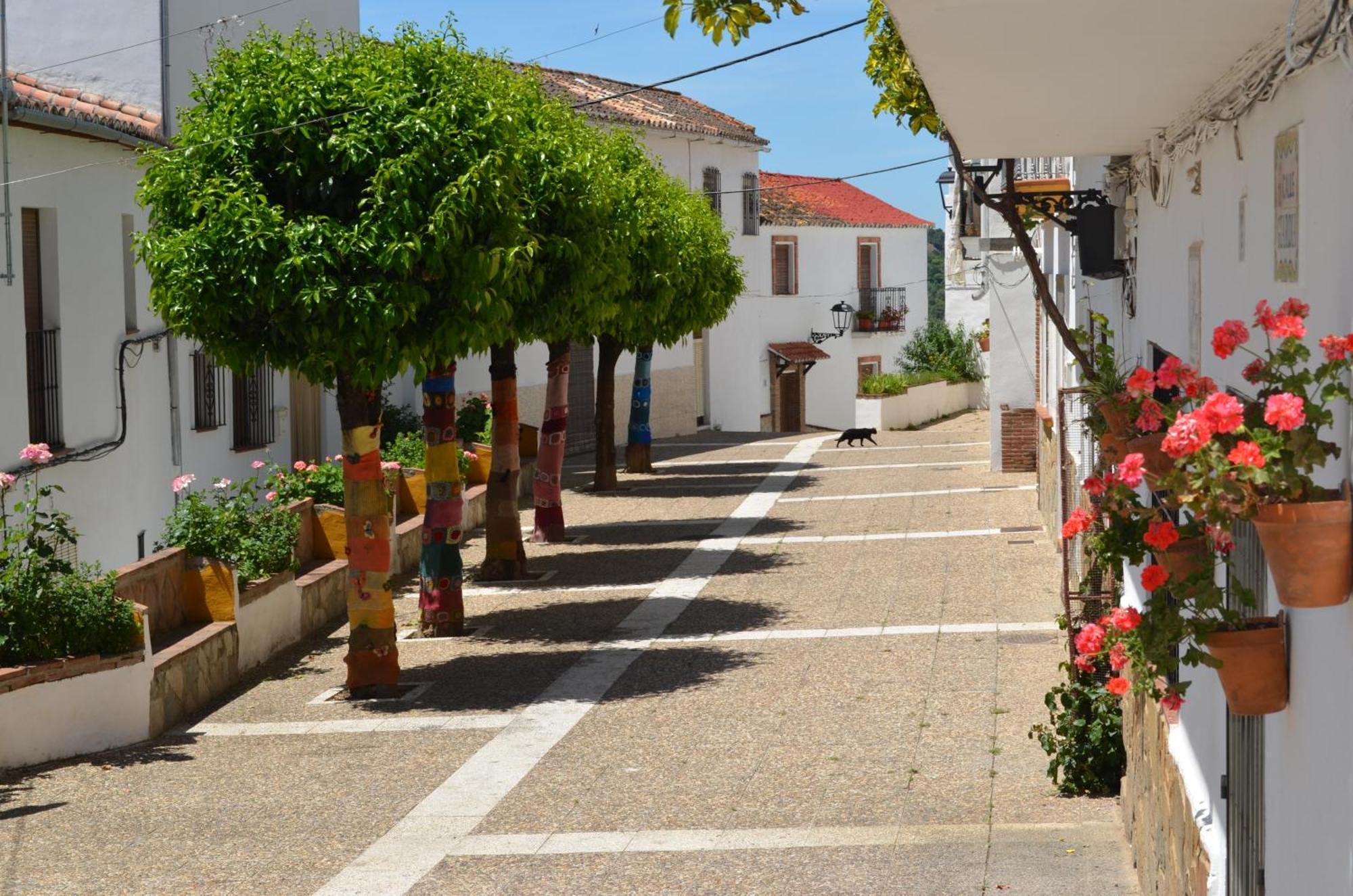 Finca El Molino De Aceite Jubrique Exteriér fotografie