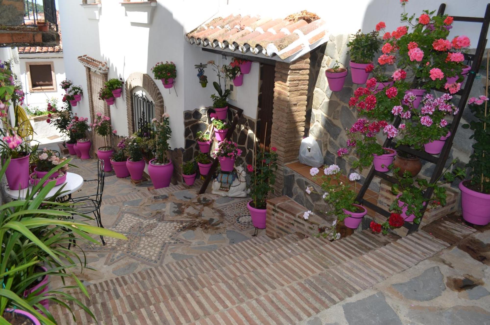 Finca El Molino De Aceite Jubrique Exteriér fotografie