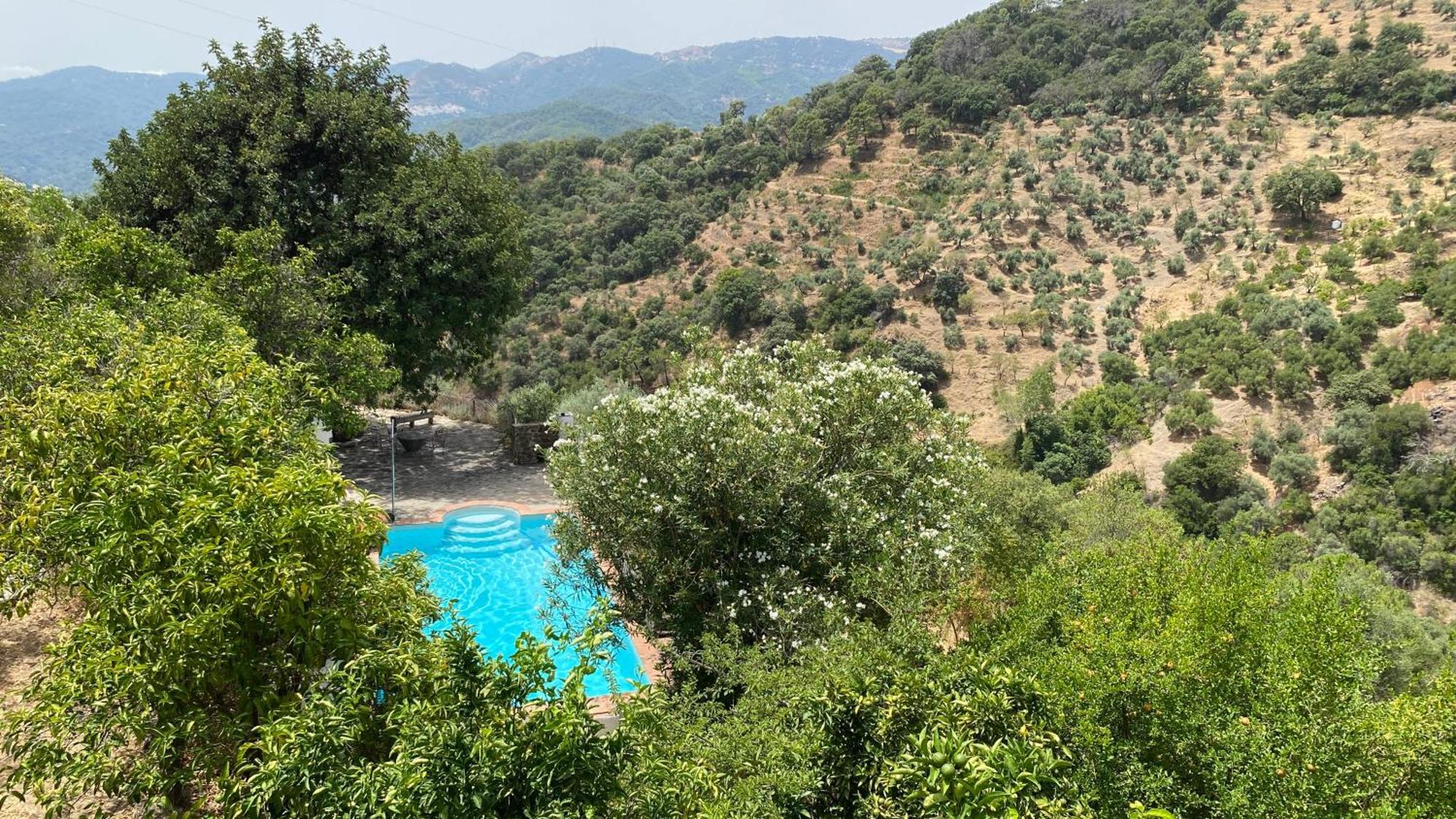 Finca El Molino De Aceite Jubrique Exteriér fotografie